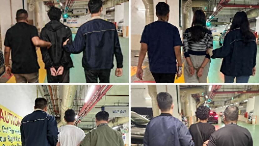 8天被骗515万！骗局背后整条产业链曝光，警方一句话点破真相